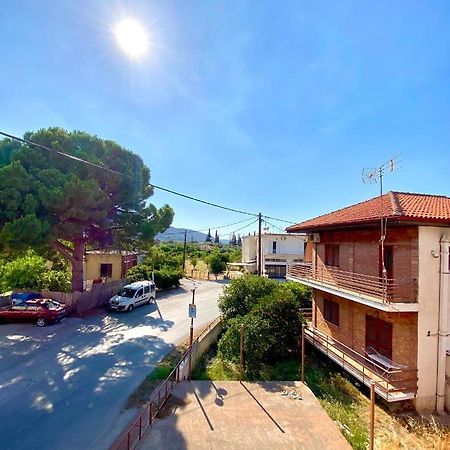 Dimitris Apartment ディアコプト エクステリア 写真