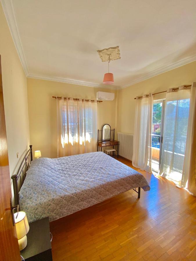 Dimitris Apartment ディアコプト エクステリア 写真